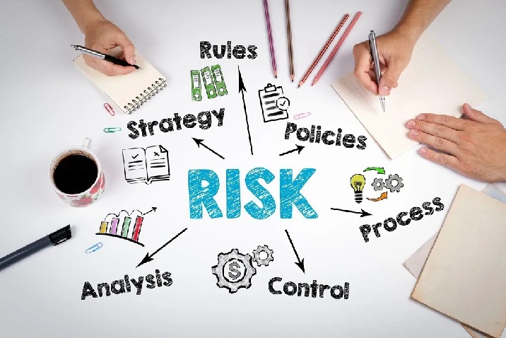How to Balance Profit Growth and Risk Control in a Competitive Market? 